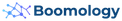 Boomology logo Boomology logo